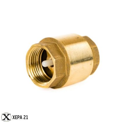 Индустриален месингов възвратен вентил 2 1/2 цола с пружина и пластмасов диск 